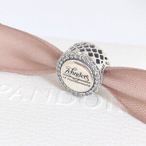 Pandora Zehnder's Neon Sign Exclusive Charm Bead S925 Silver with box